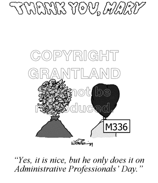 secretary cartoons M336